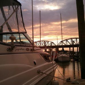 Meet your Posher, Wendy